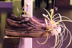 Michel-Blazy- scarpe -piante